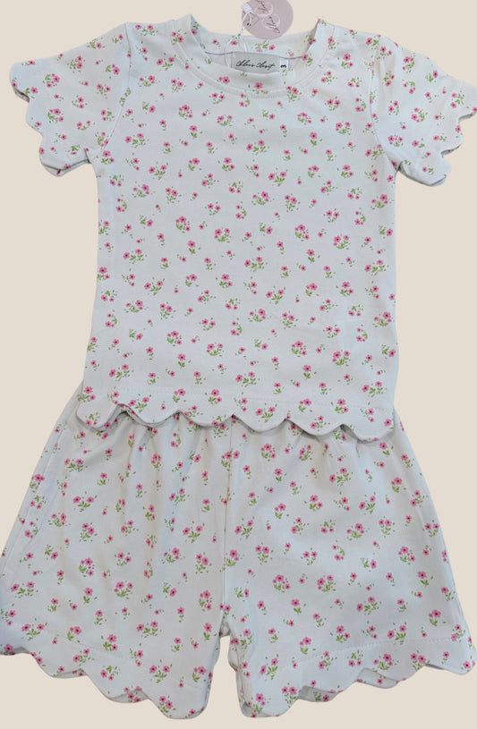 Sadie’s Sage Scalloped Set